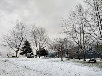 Negocio Alner 2000 S L