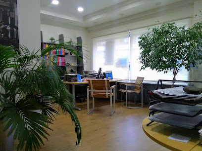 Negocio Seguros Y Servicios Amorebieta 2012, Sl