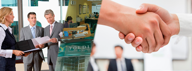 Negocio Yoldi Correduría De Seguros, S.L.